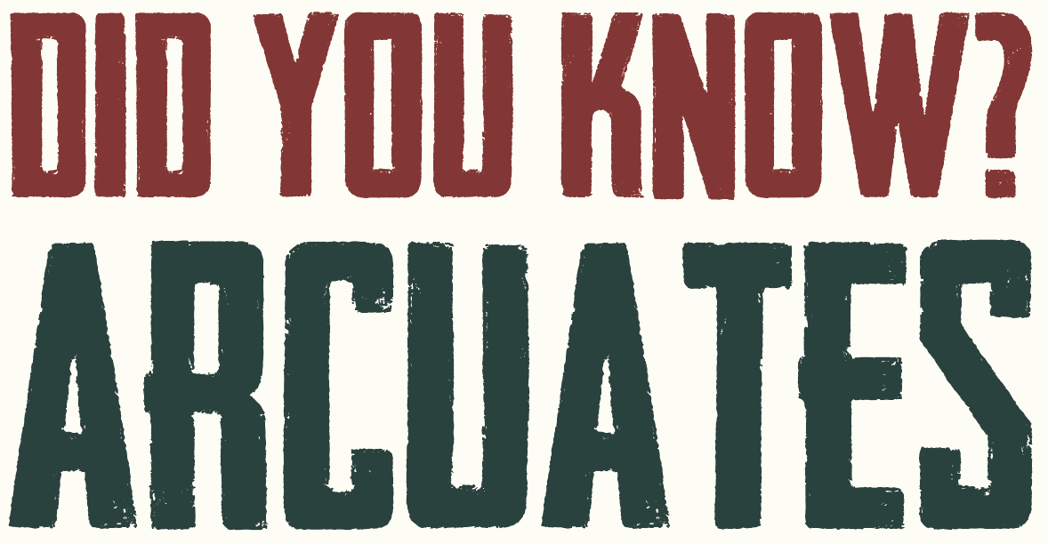 Did you know? Arcuates